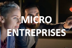 micro entreprise